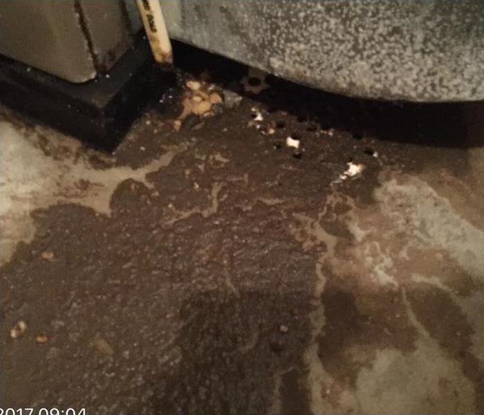 sewage on floor in basement 